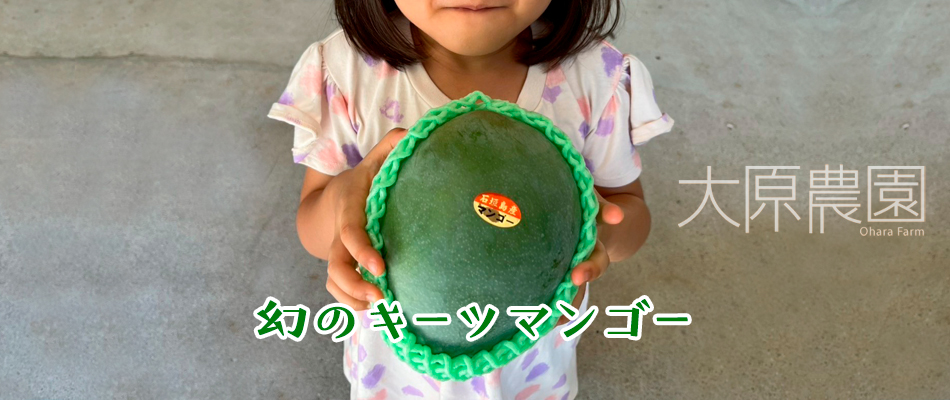 大原農園 キーツマンゴー
